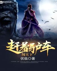 ����¿��������