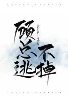 �����Ӳ���