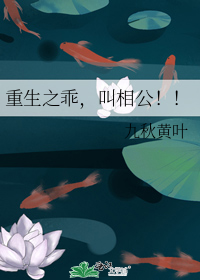 ����֮�ԣ����๫