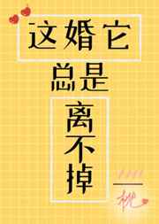 ����������벻��