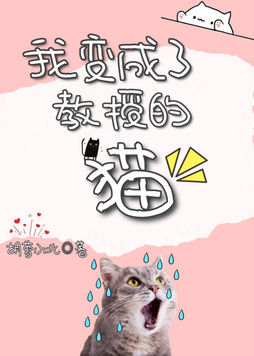 �ұ���˽��ڵ�è