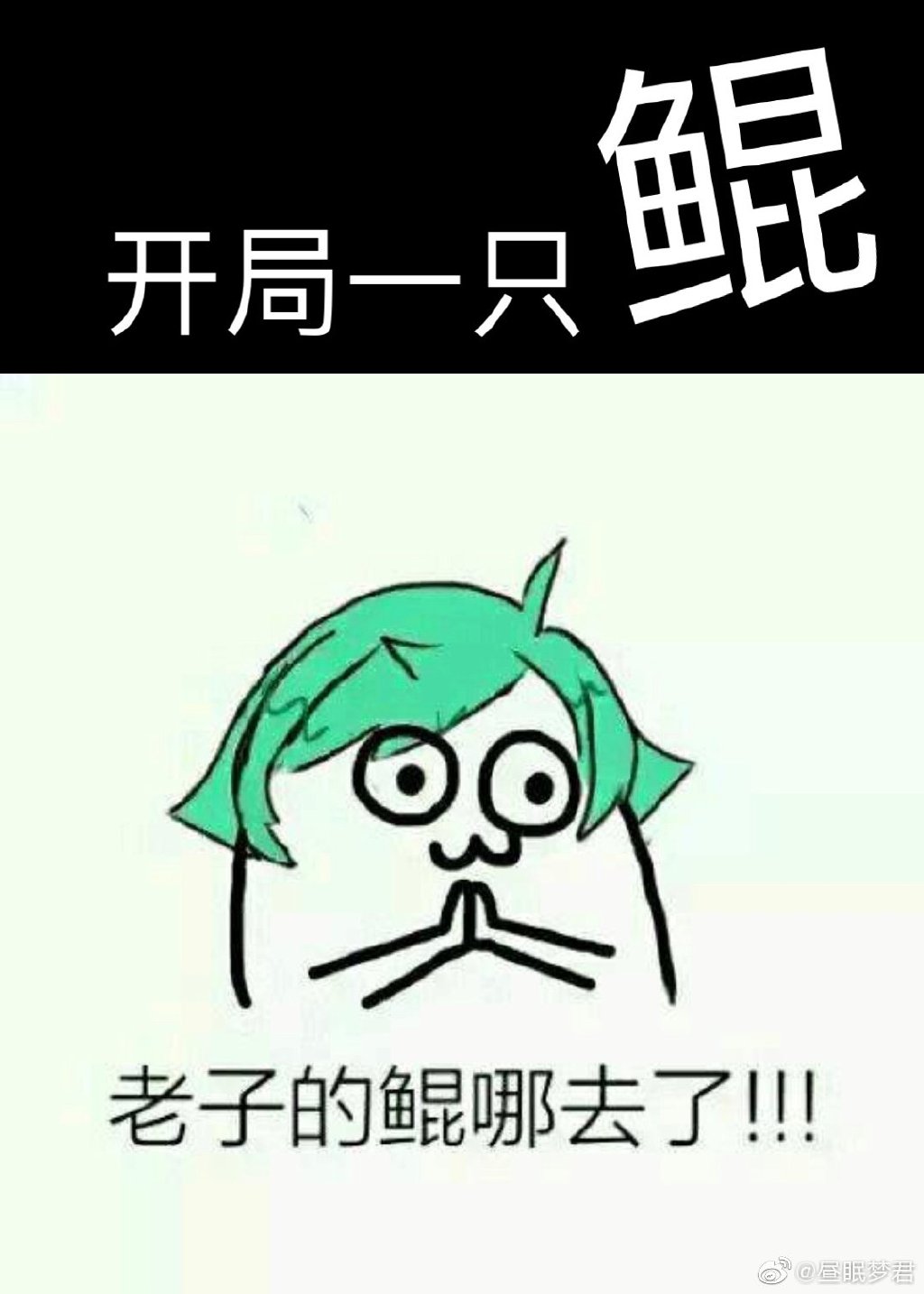 ����һֻ��