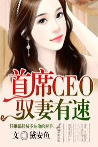 ��ϯCEO��Ԧ������