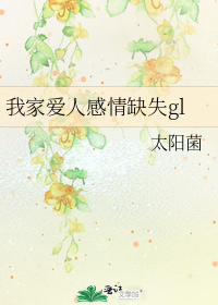 �ҼҰ��˸���ȱʧgl