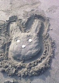 ����ʳϵ�к������u�͵�