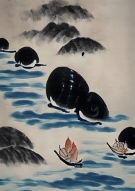 Թ����ݹ���