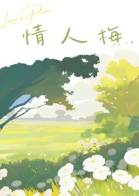 ����÷����÷������