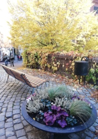 ��Խ֮������Ů��