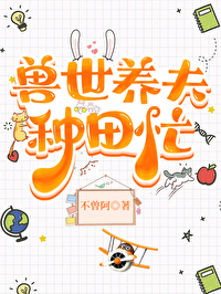 ������������æ