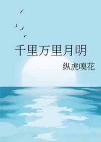 ǧ����������