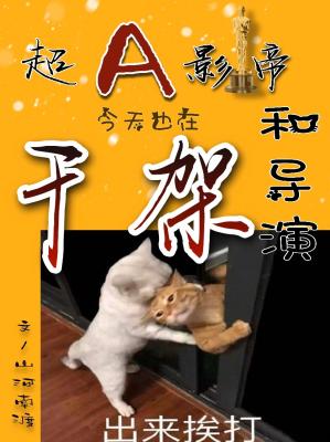 ��AӰ�۽���Ҳ�ں͵��ݸɼ�