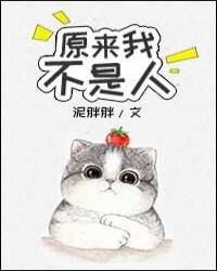 �����ù�������