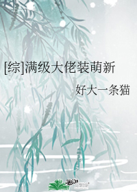 [��]��������װ����