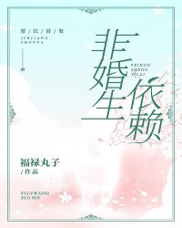 �ǻ�������