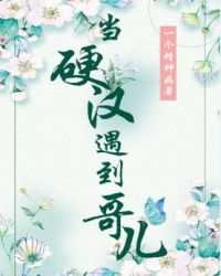 ��Ӳ���������