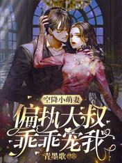 �ս�С���ޣ�ƫִ���壬�ԹԳ���