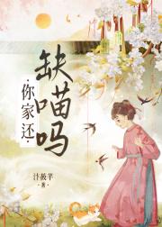 ��һ�ȱ����