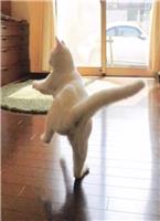 ���ƹ��㣬�����