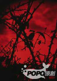 ��̸������Ϸ