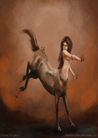 ����������ͬ��������۲��¼